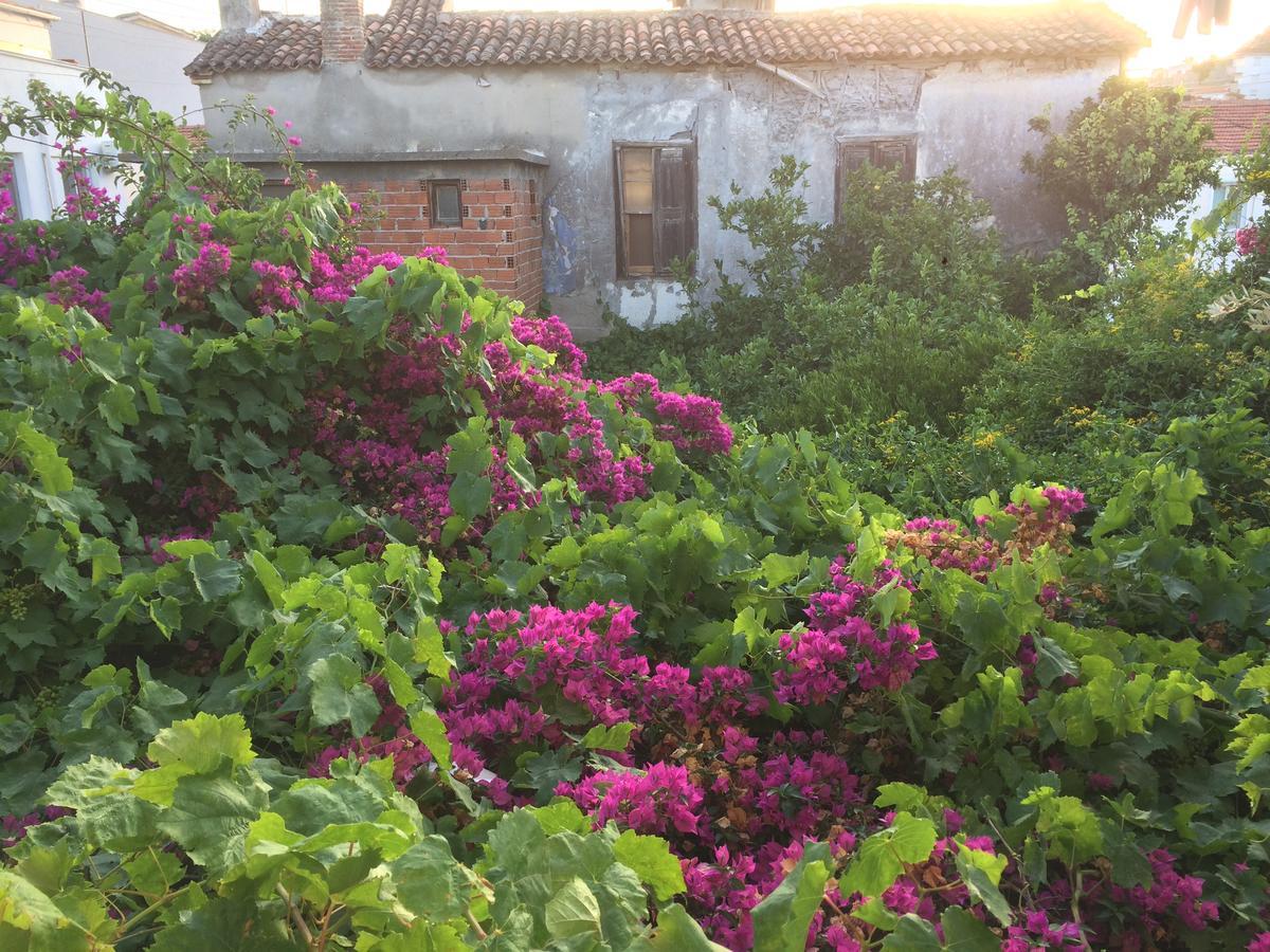 Parmis Rooms Çeşme 外观 照片